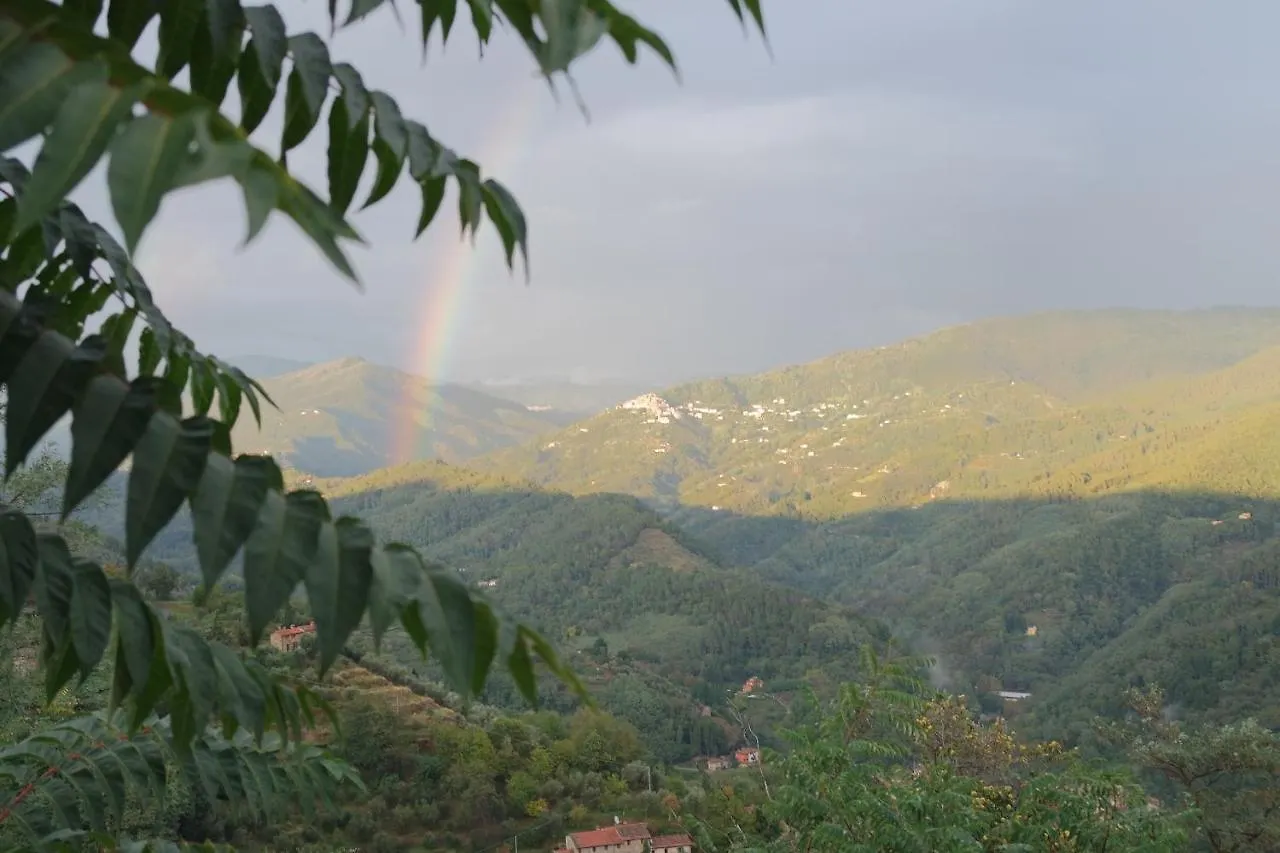 La Terrazza Sulle 9 Castella Holiday home Pescia