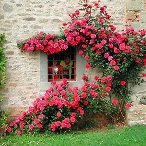  Bauernhof Agriturismo 